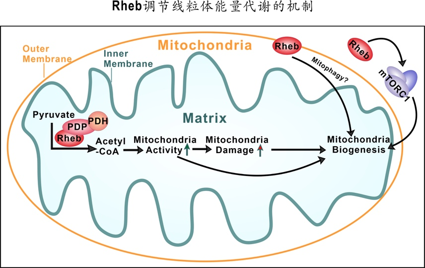 1615882152659203.png 图片1.png